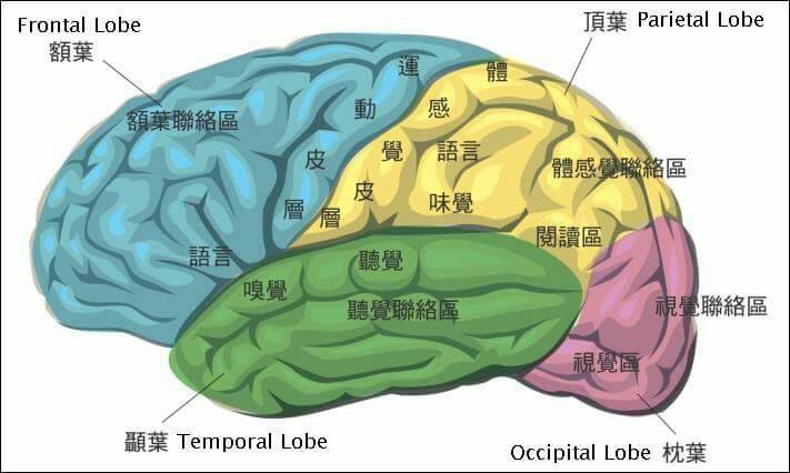 看看哪些人在经营婕斯？1.北京大学客座教授2.教育大学讲师3.上海私立教育机构 荣誉校长